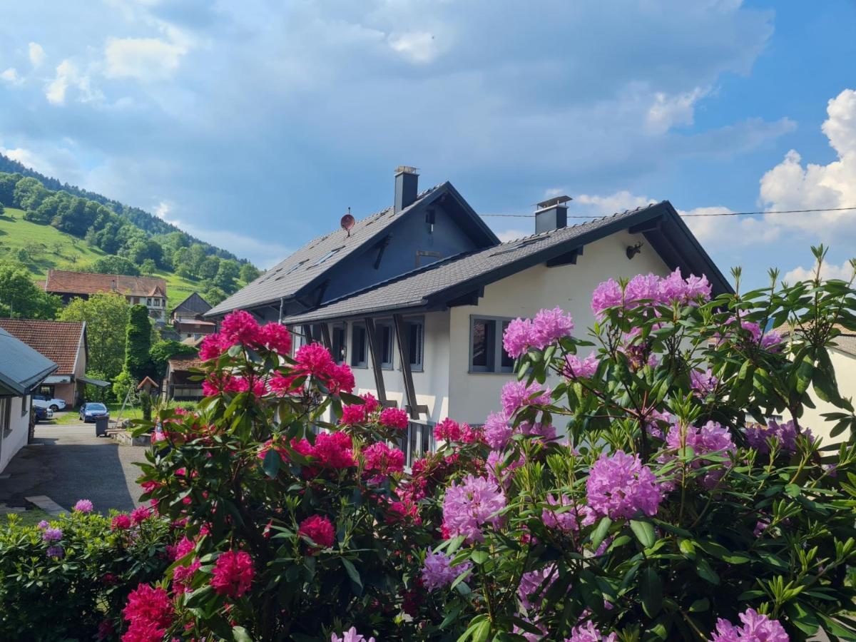 Locations Des 3 Sommets Avec Sauna Et Spa En Alsace Sondernach 외부 사진