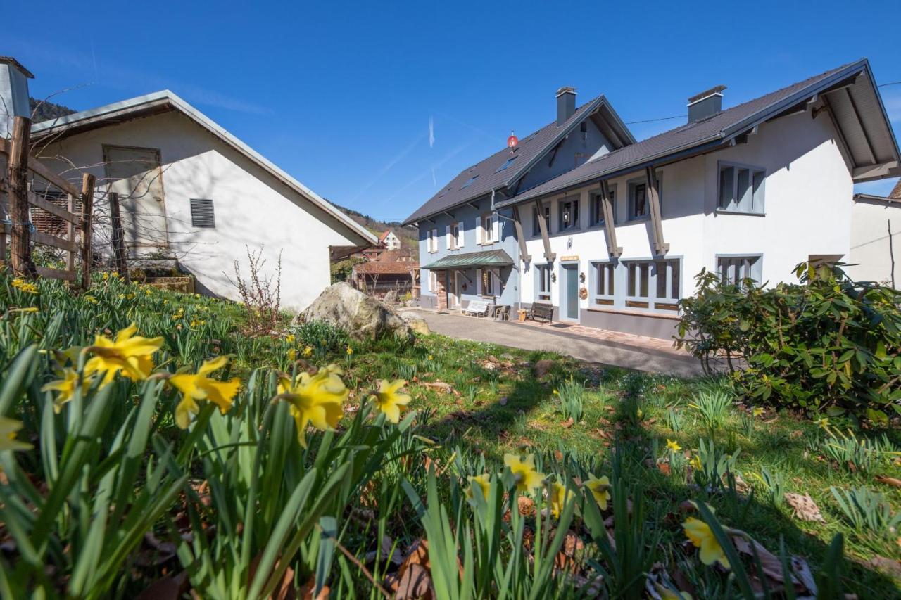 Locations Des 3 Sommets Avec Sauna Et Spa En Alsace Sondernach 외부 사진