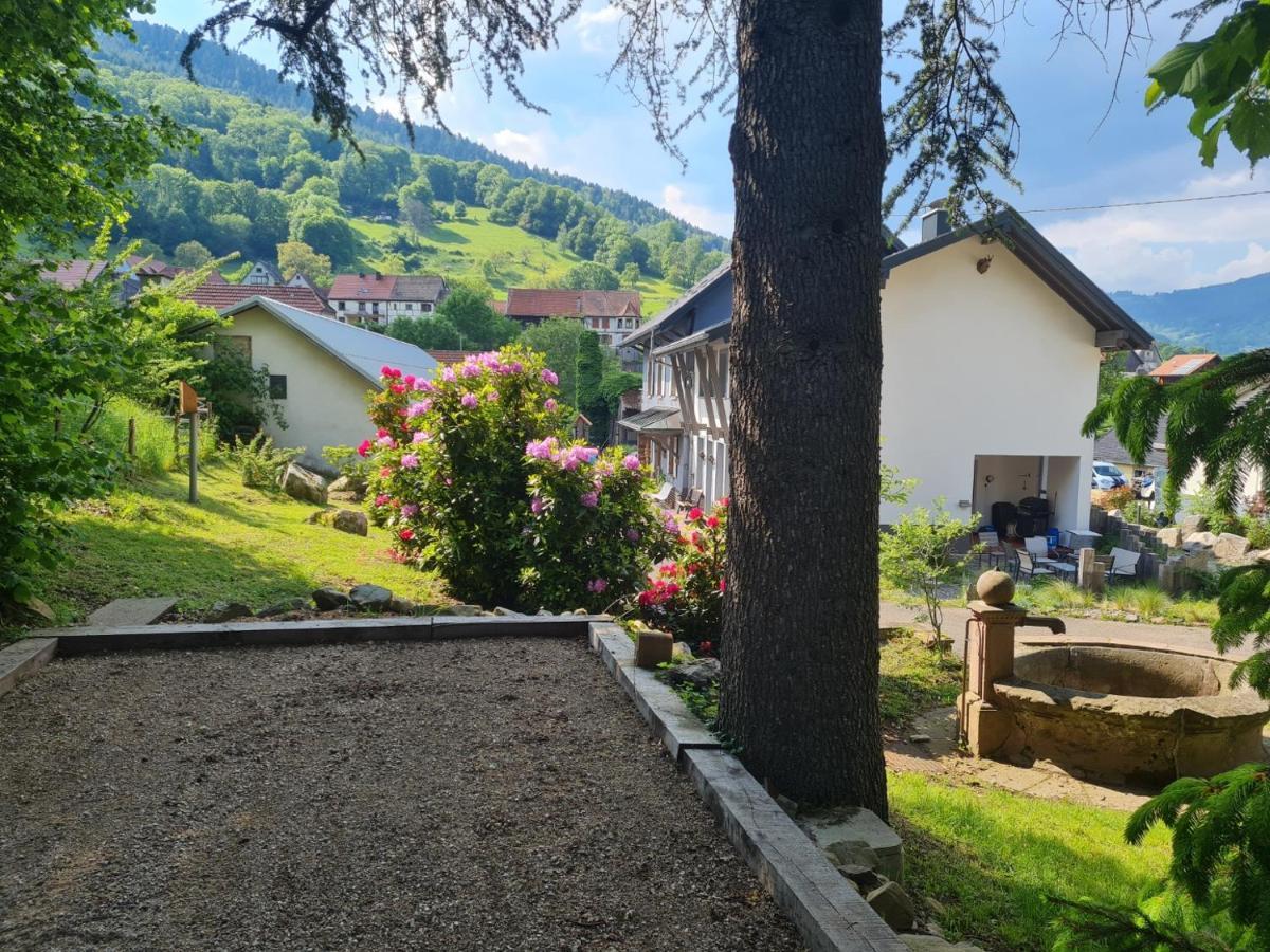 Locations Des 3 Sommets Avec Sauna Et Spa En Alsace Sondernach 외부 사진