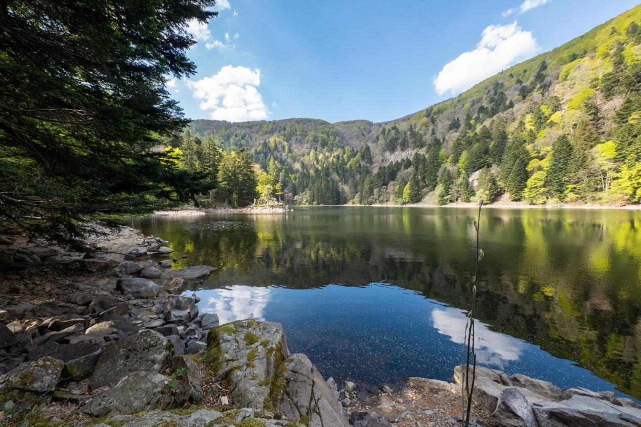 Locations Des 3 Sommets Avec Sauna Et Spa En Alsace Sondernach 외부 사진