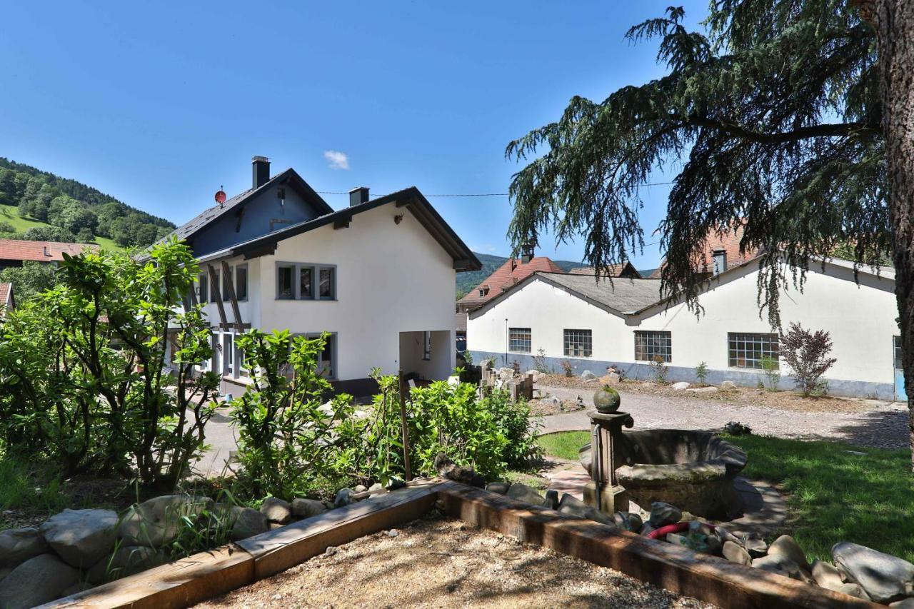 Locations Des 3 Sommets Avec Sauna Et Spa En Alsace Sondernach 외부 사진
